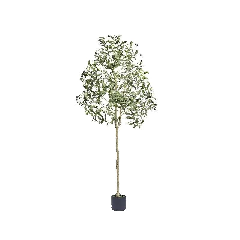 Dracaena Marginata - SucceBuy – olive artificielle de 4/5/6