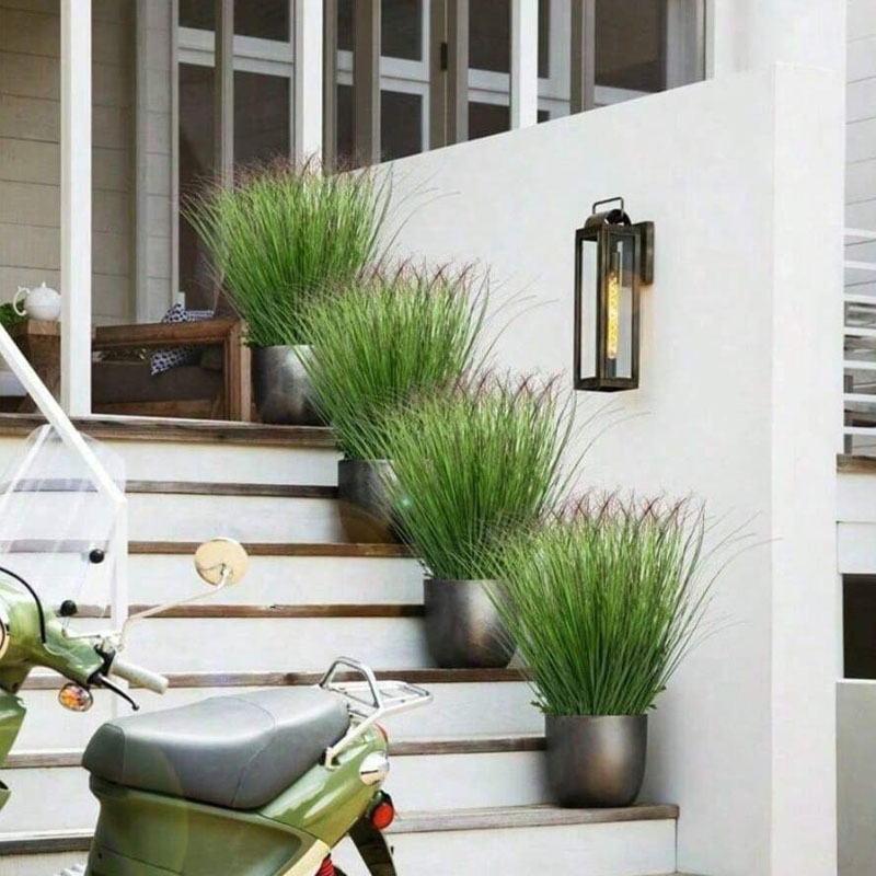 Fausse verdure d'herbe d'oigno - Ficus Lyrata Tree avis et prix
