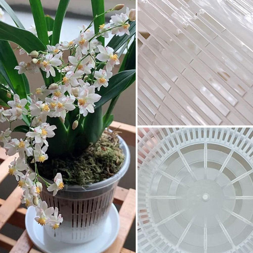 Pot de fleurs Transparent en m - Aloe Vera Pot avis et prix