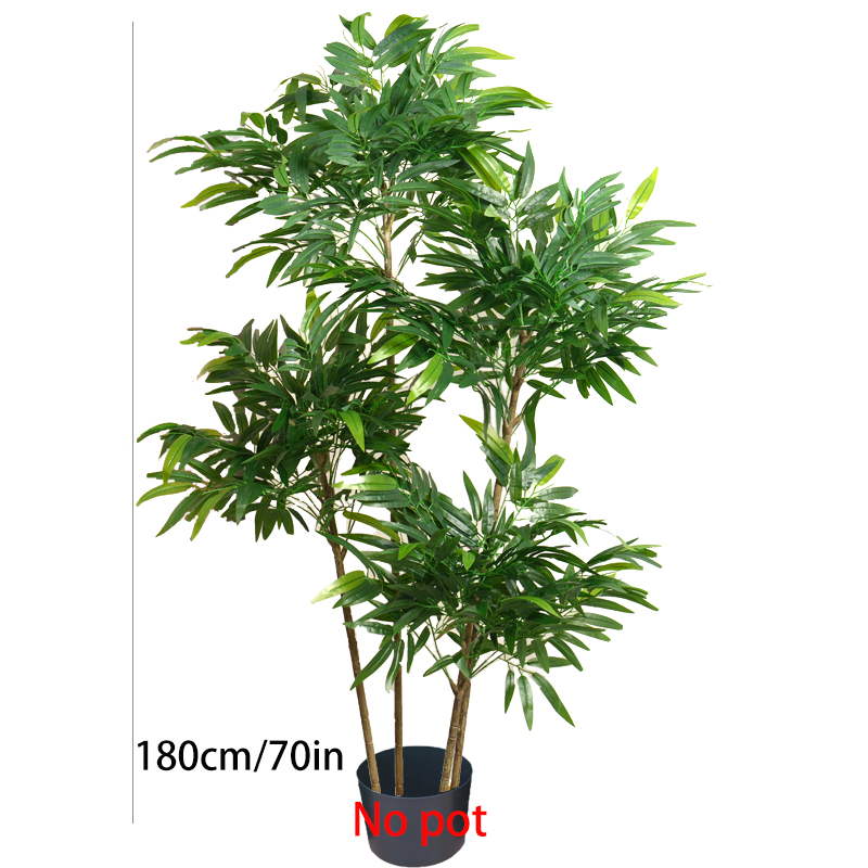 Grandes feuilles de bambou art - Dracaena Marginata avis et prix
