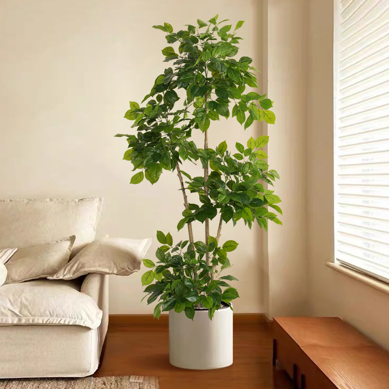 Grandes fausses plantes artifi - Dracaena Marginata avis et prix