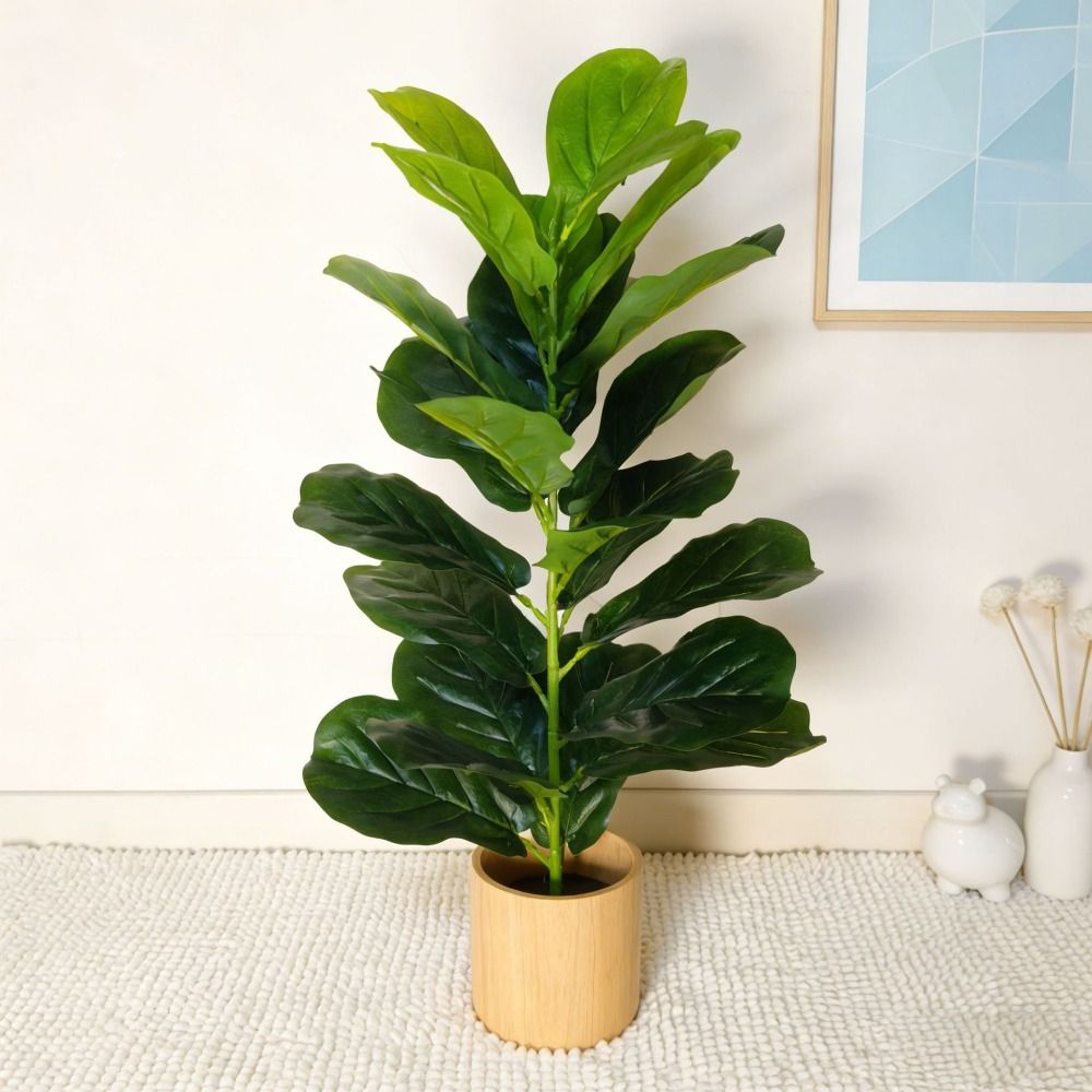 Grand arbre artificiel en plas - Dracaena Marginata avis et prix