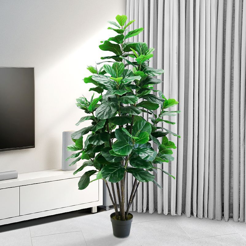 Grand Ficus Lyrata artificiel  - Ficus Lyrata Tree avis et prix