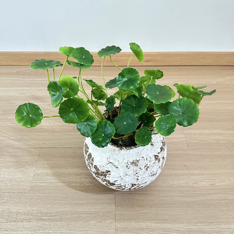 2 pièces de feuilles artificie - Pilea Peperomioides avis et prix
