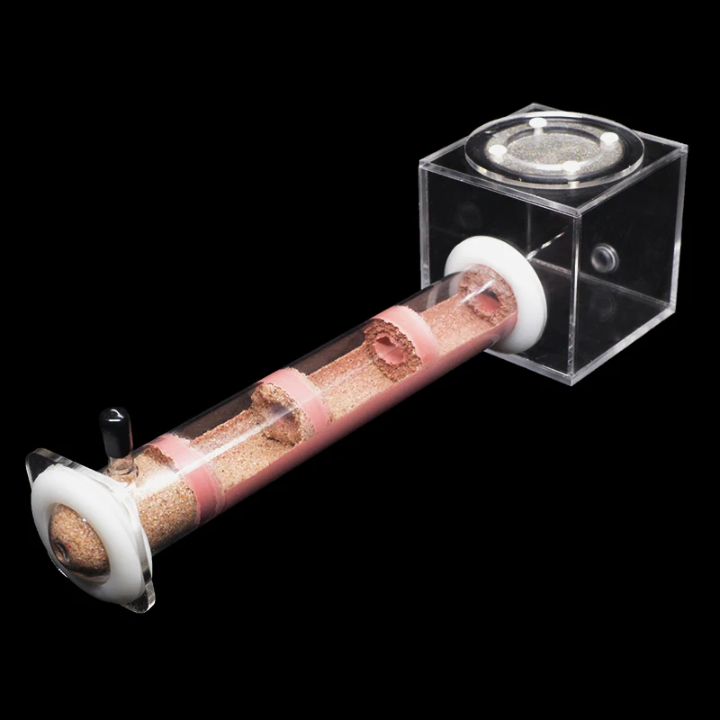 Nid en Tube de bambou pour fer - Begonia Rex avis et prix