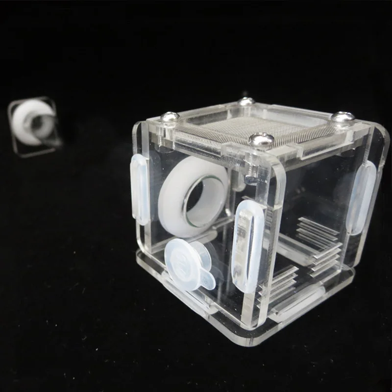 Nid en Tube de bambou pour fer - Begonia Rex avis et prix