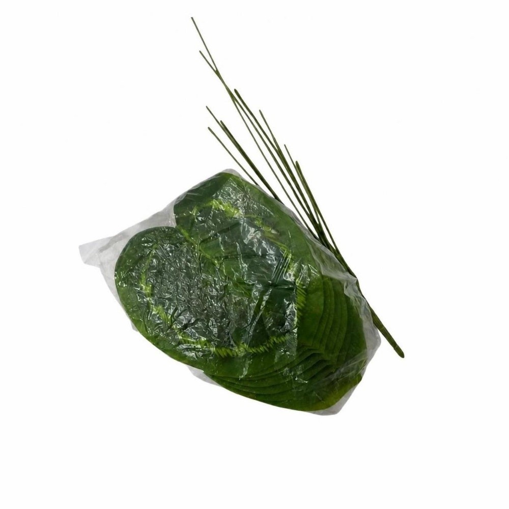 9/15/23 Feuilles de Ficus Lyra - Ficus Lyrata Tree avis et prix