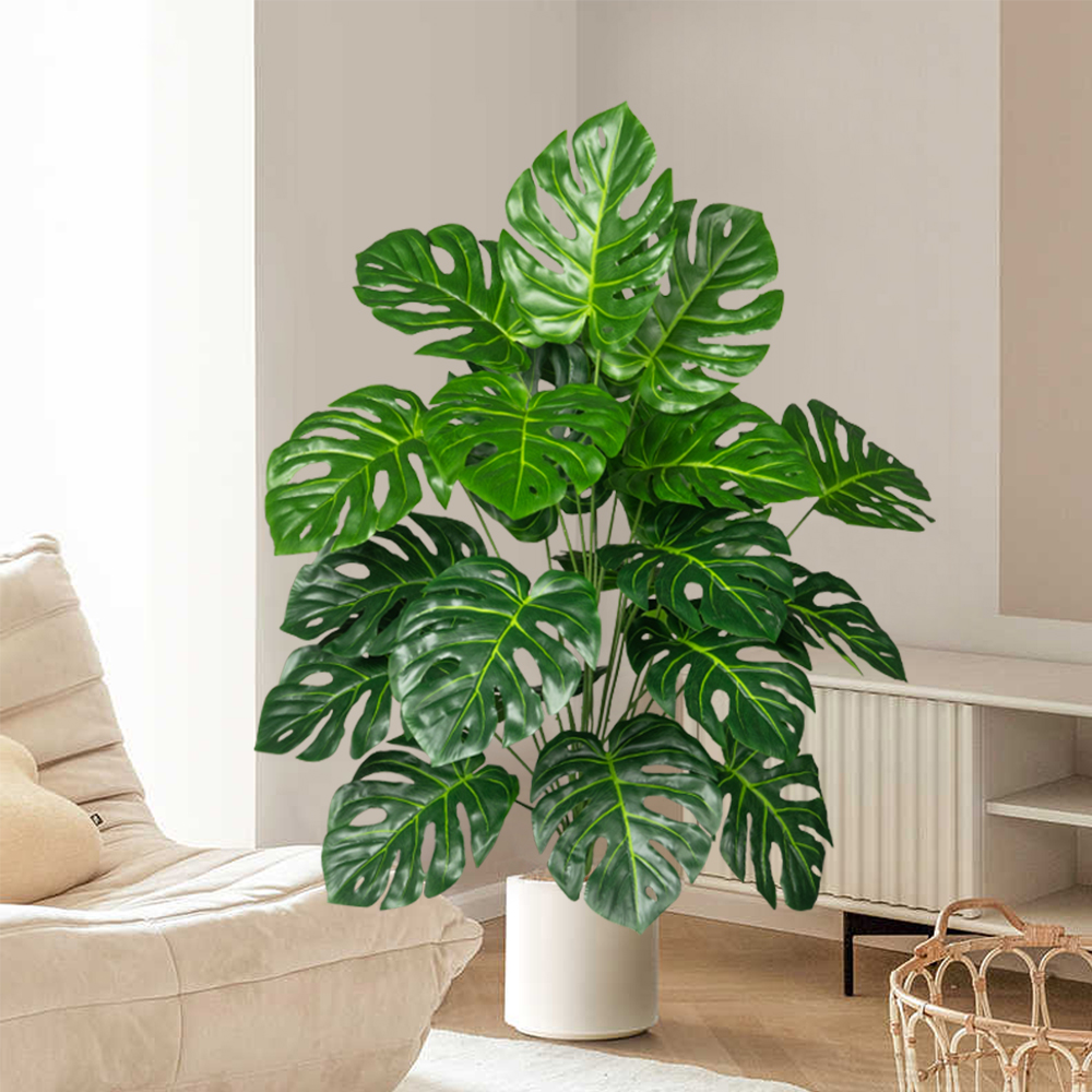 Palmier Monstera Él70-100cm, f - Dracaena Marginata avis et prix
