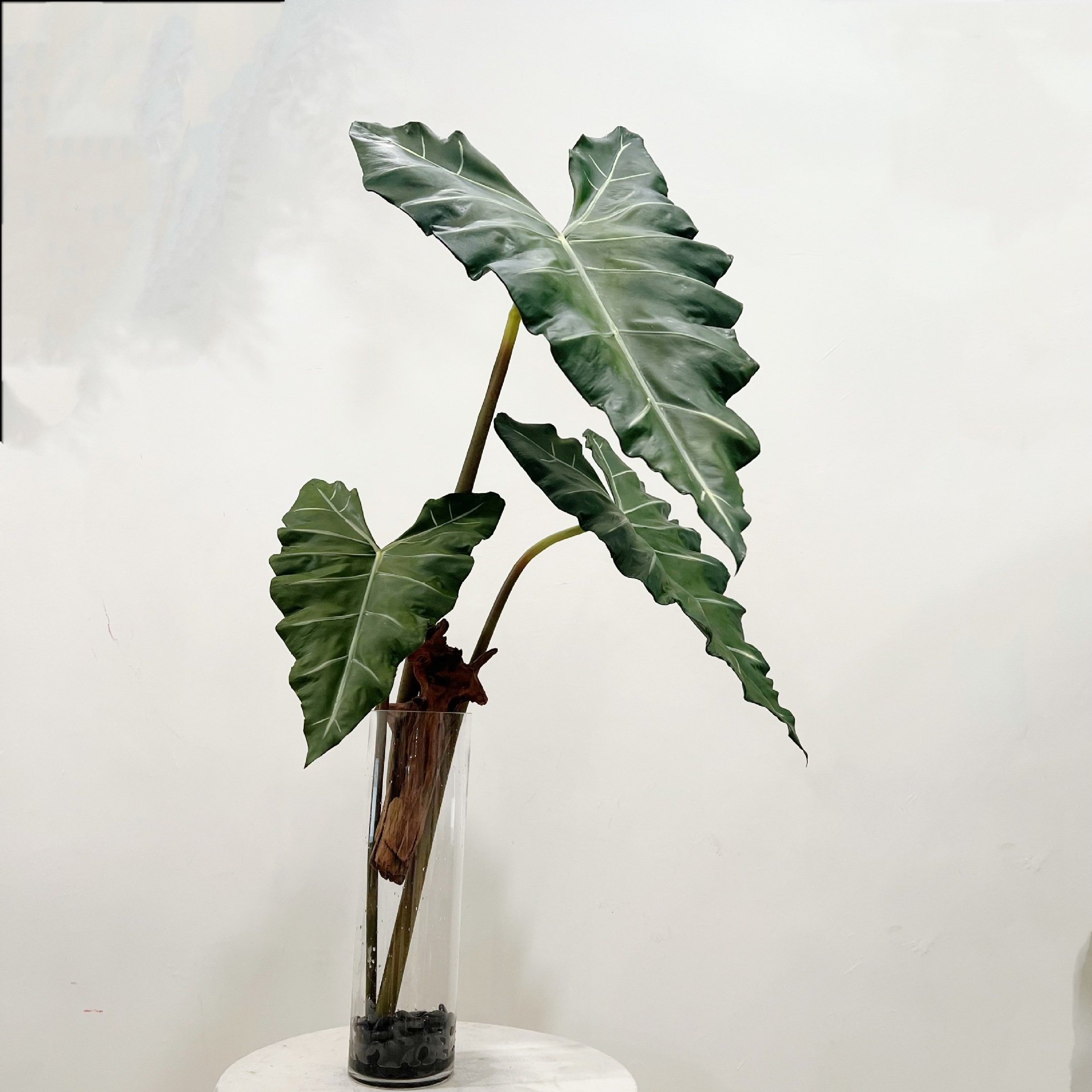 Plante verte en PU simulée, se - Dracaena Marginata avis et prix