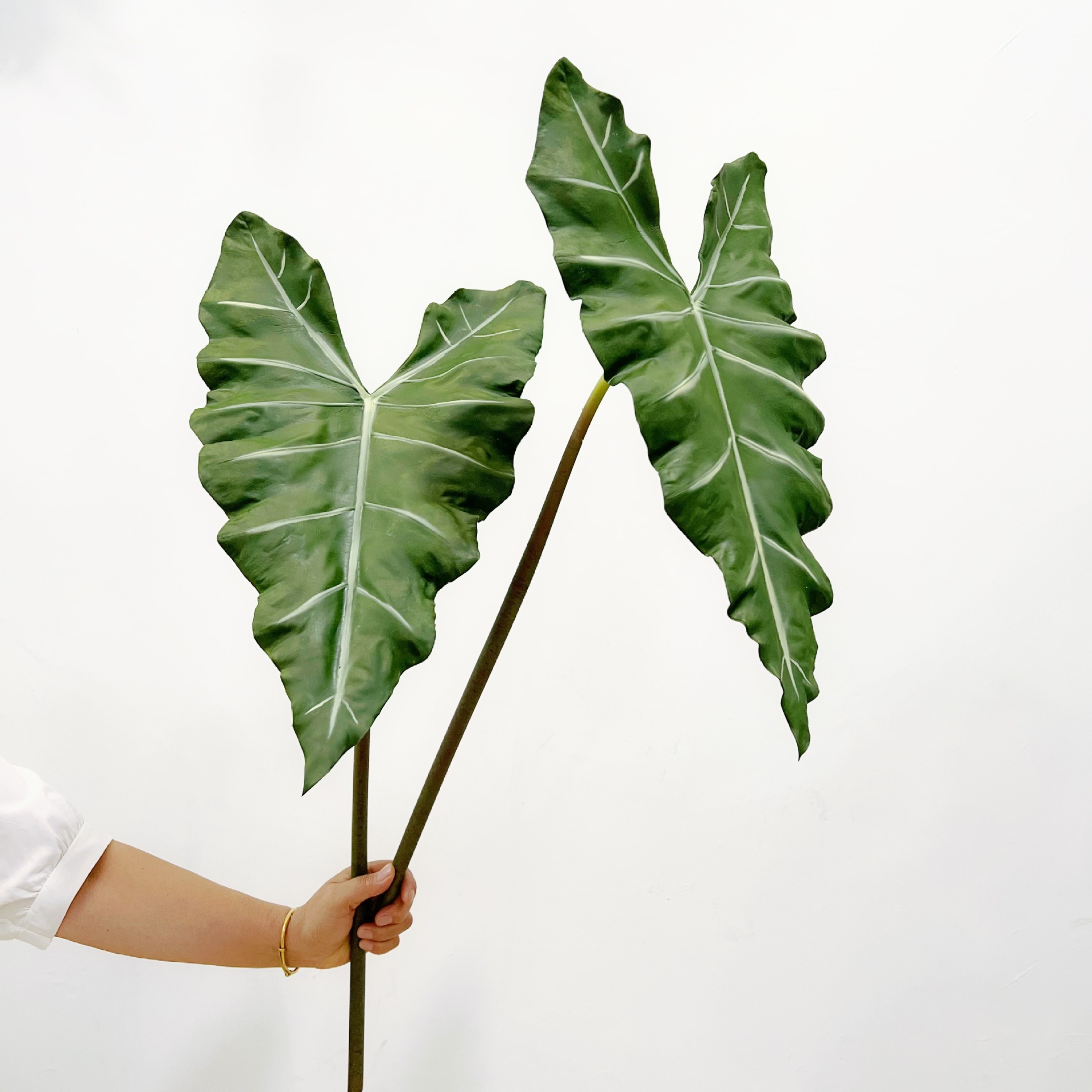 Plante verte en PU simulée, se - Dracaena Marginata avis et prix