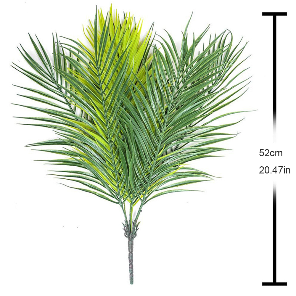 20,47 pouces 9 feuilles de pla - Dracaena Marginata avis et prix
