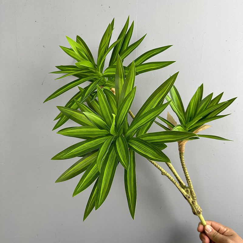 Plantes vertes simulées 3 tête - Dracaena Marginata avis et prix