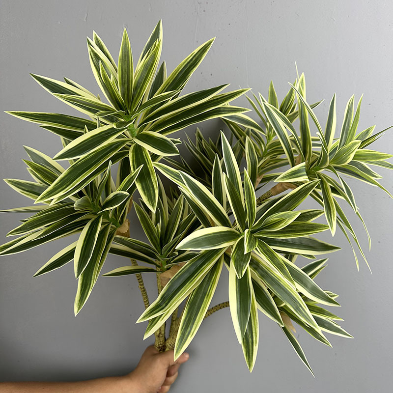 Plantes vertes simulées 3 tête - Dracaena Marginata avis et prix